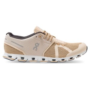 Brown Men's On Running Cloud 2 Sneakers | 3590786_PH