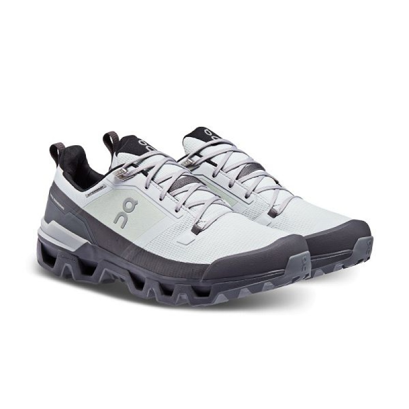 Grey Men's On Running Cloudwander Waterproof Hiking Shoes | 3716942_PH