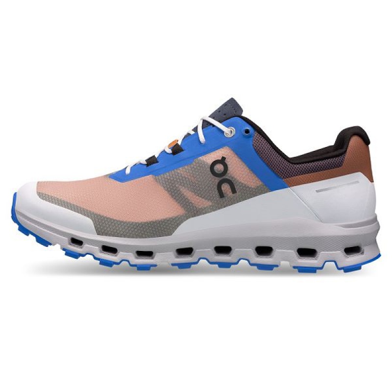 Pink / Blue Men's On Running Cloudvista Hiking Shoes | 6490213_PH