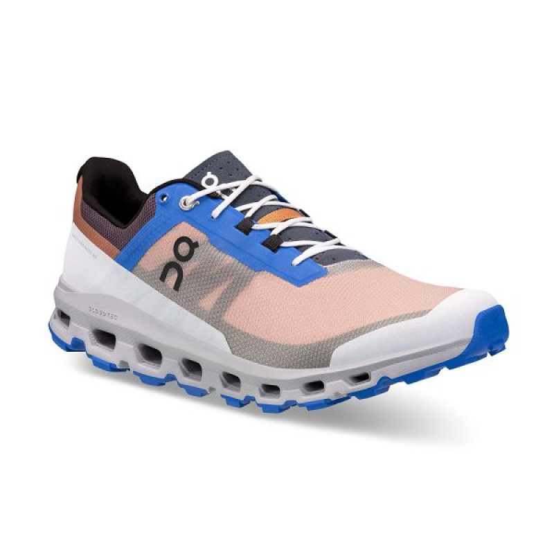 Pink / Blue Men's On Running Cloudvista Hiking Shoes | 6490213_PH